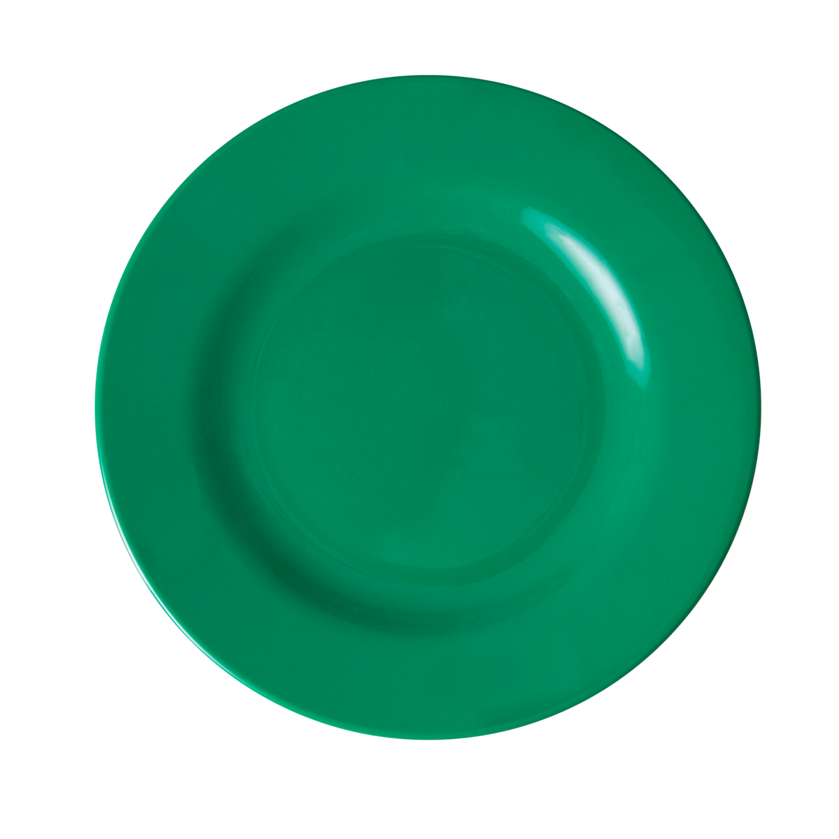 Melamine Lunch Plate | Green