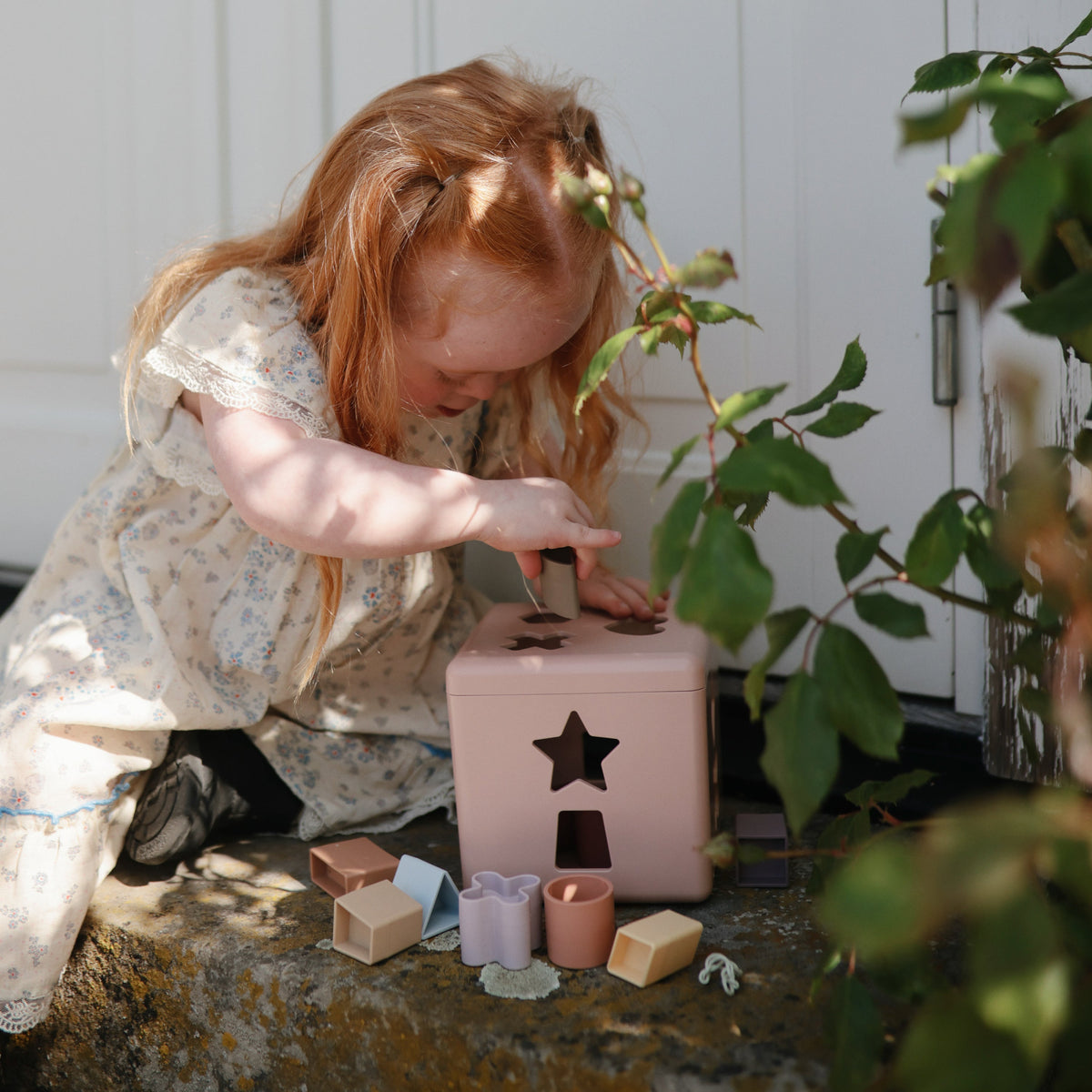 Shape Sorting Box
