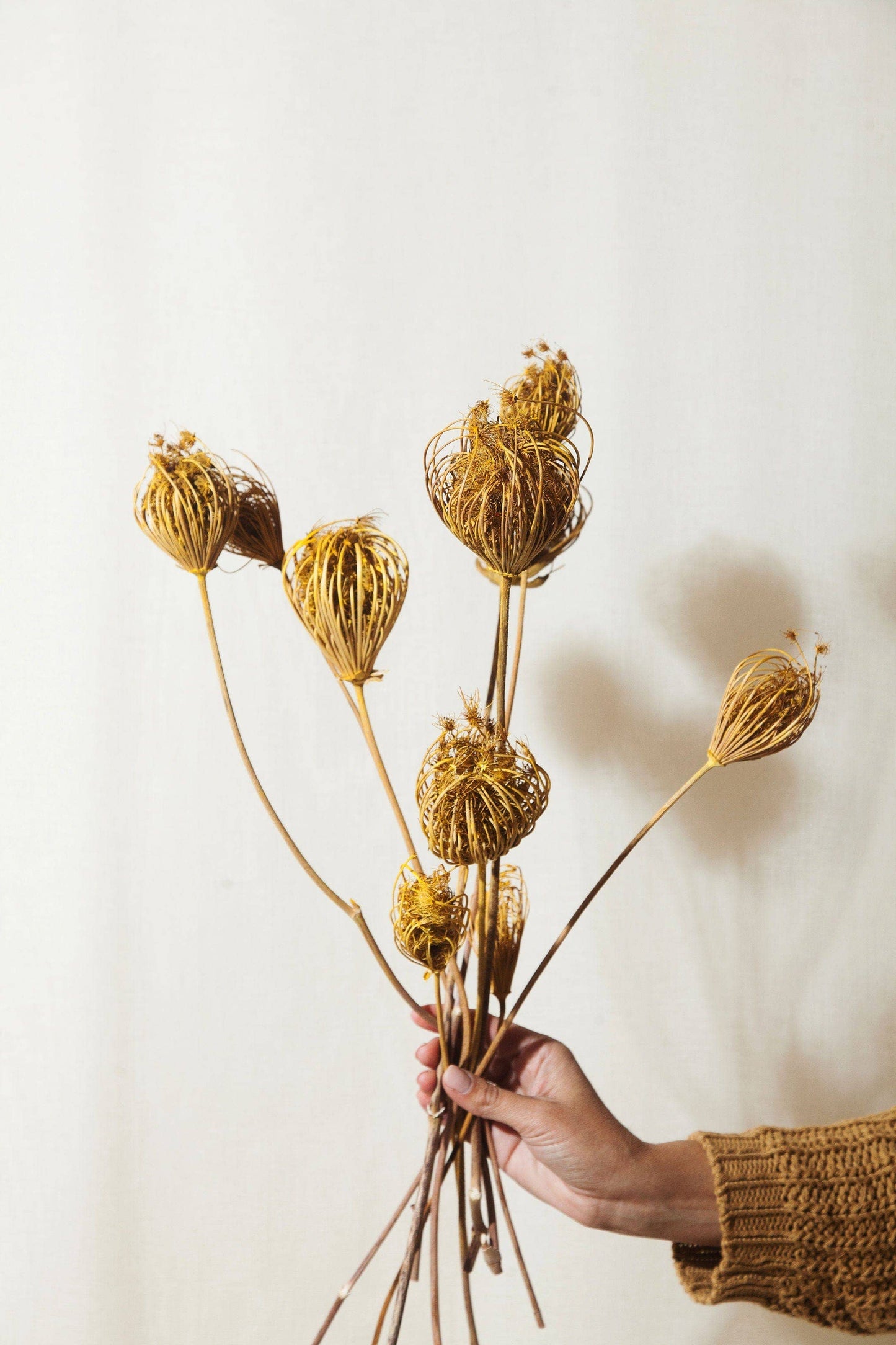 Idlewild Floral Co. - Yellow Queen Anne's Lace