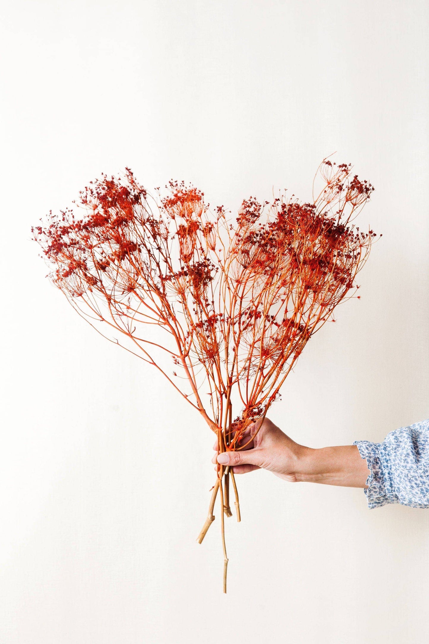 Idlewild Floral Co. - Orange Dried Fennel