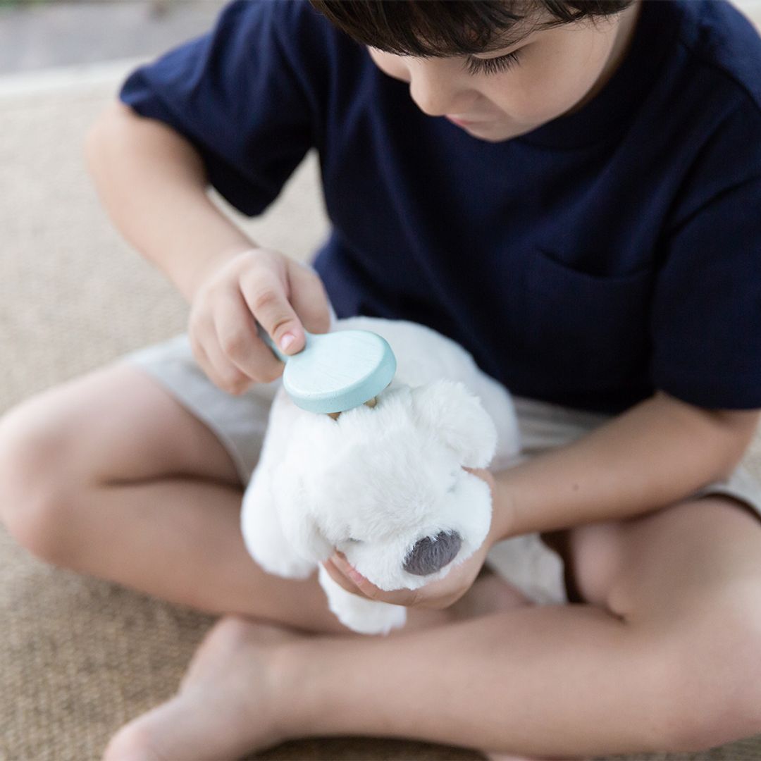 Pet Care Set