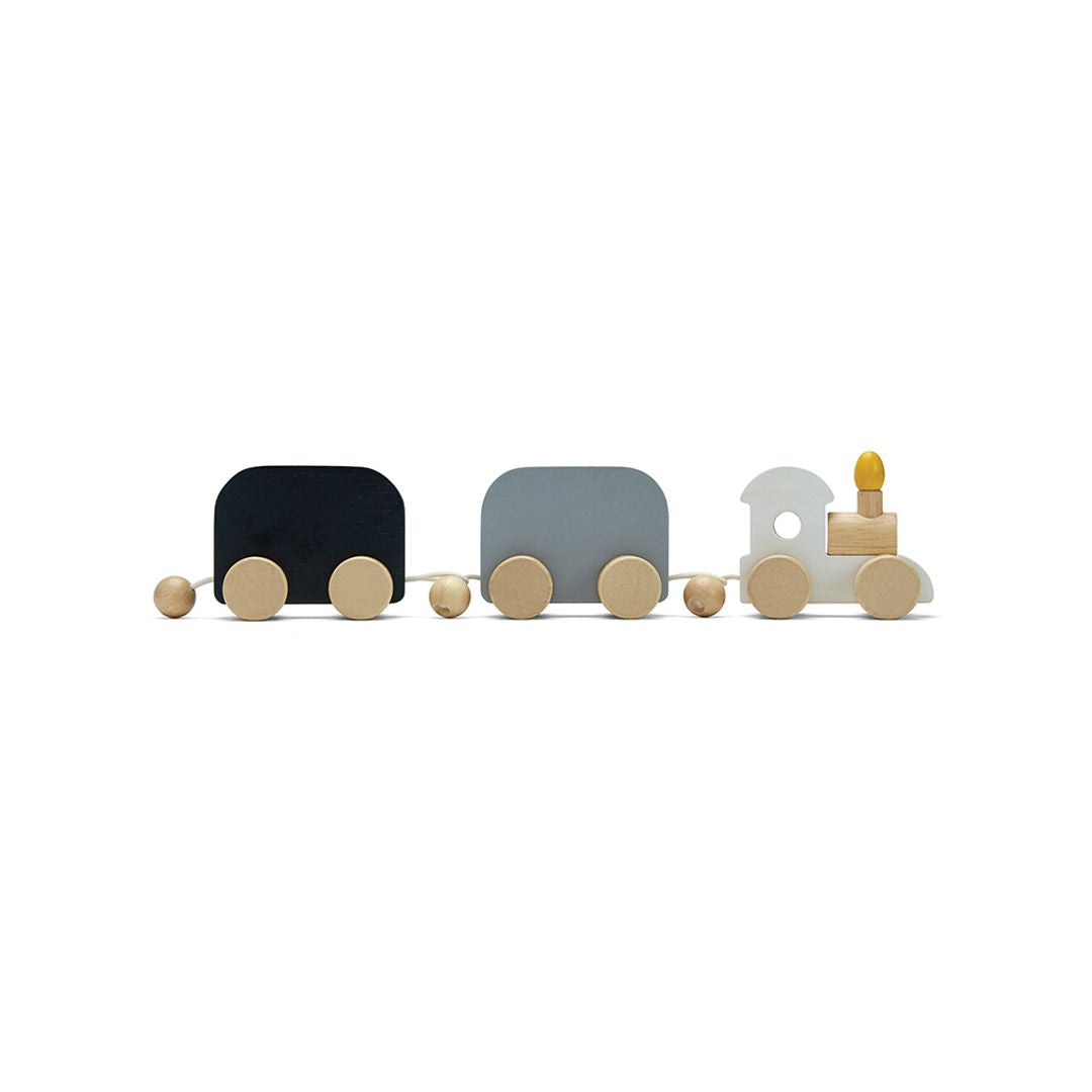 Celebration Train
