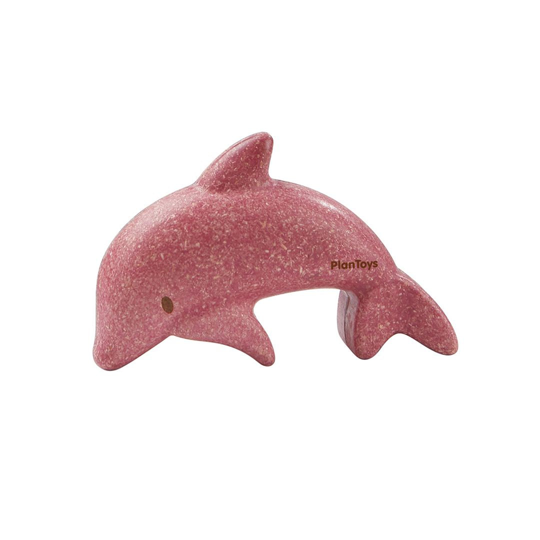 Dolphin