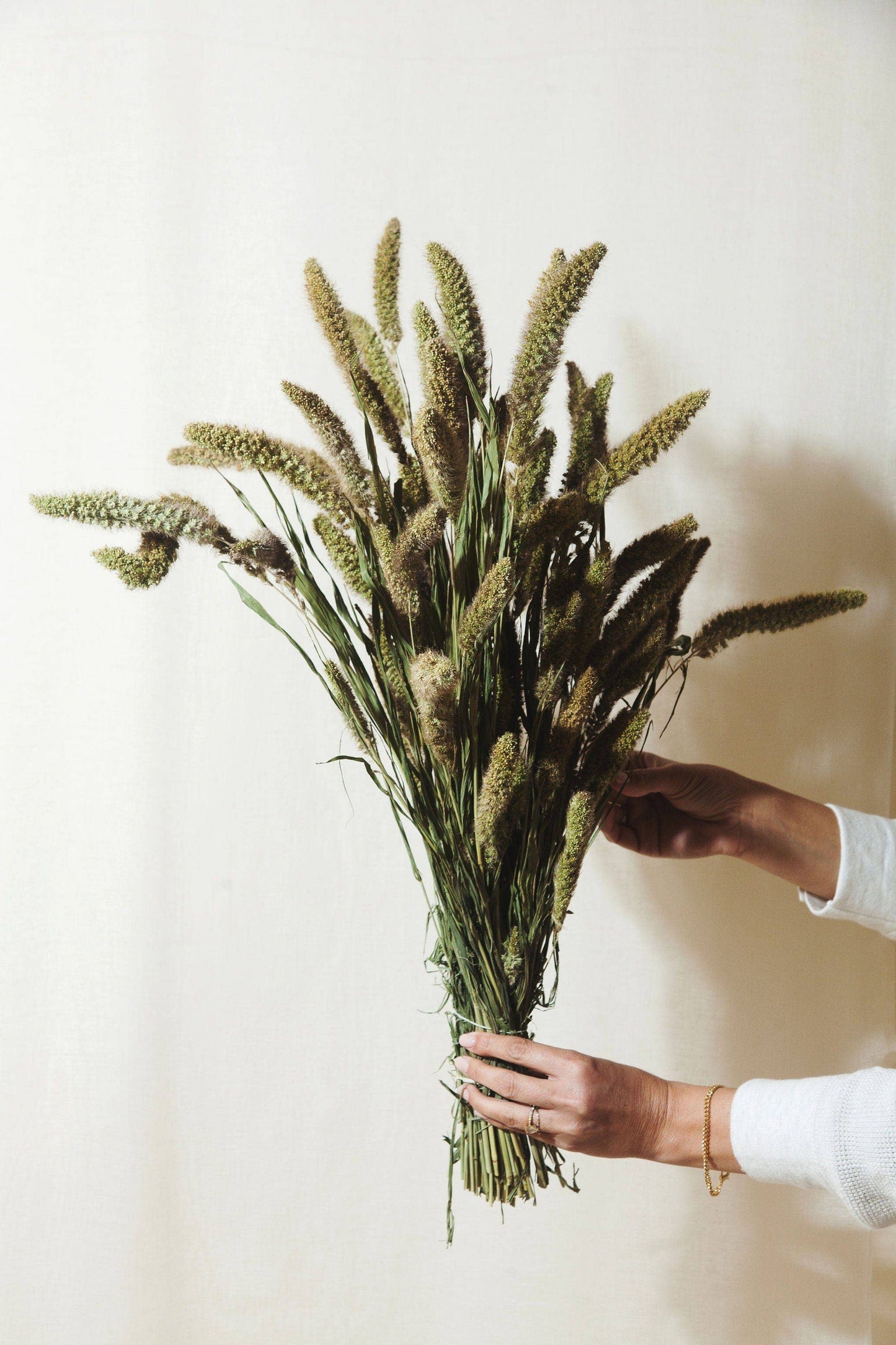 Idlewild Floral Co. - Natural Setarea Grass