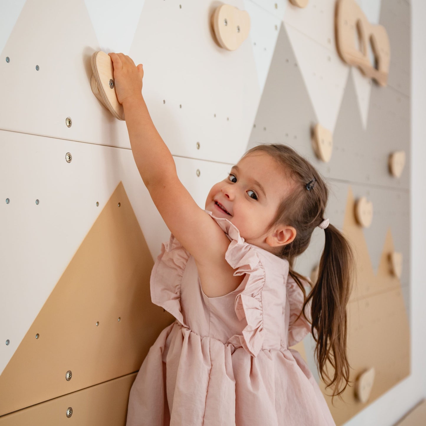 Indoor Climbing Wall