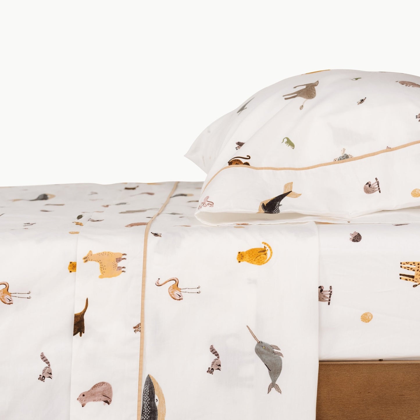 Wholesale 100% Cotton Sheet Set