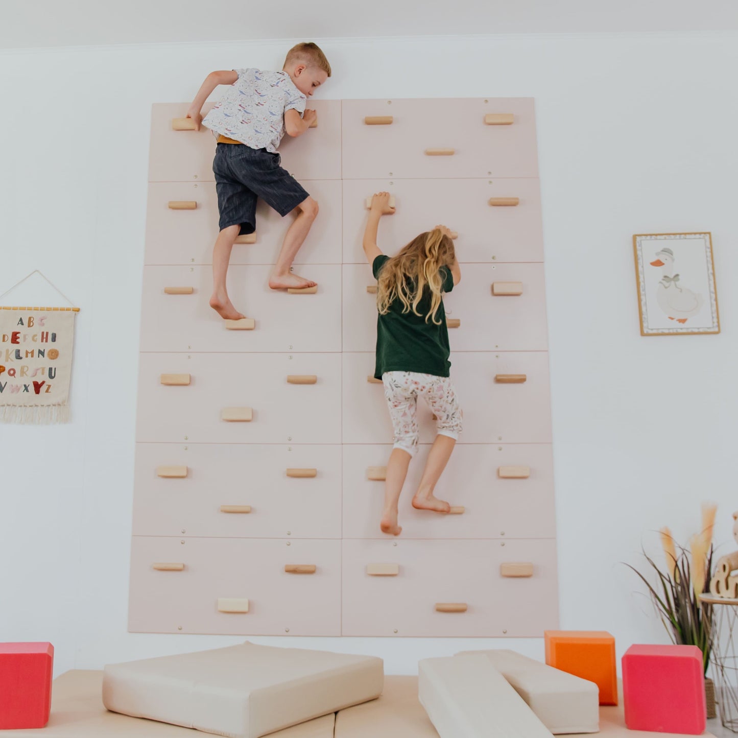 Rock Climbing Wall
