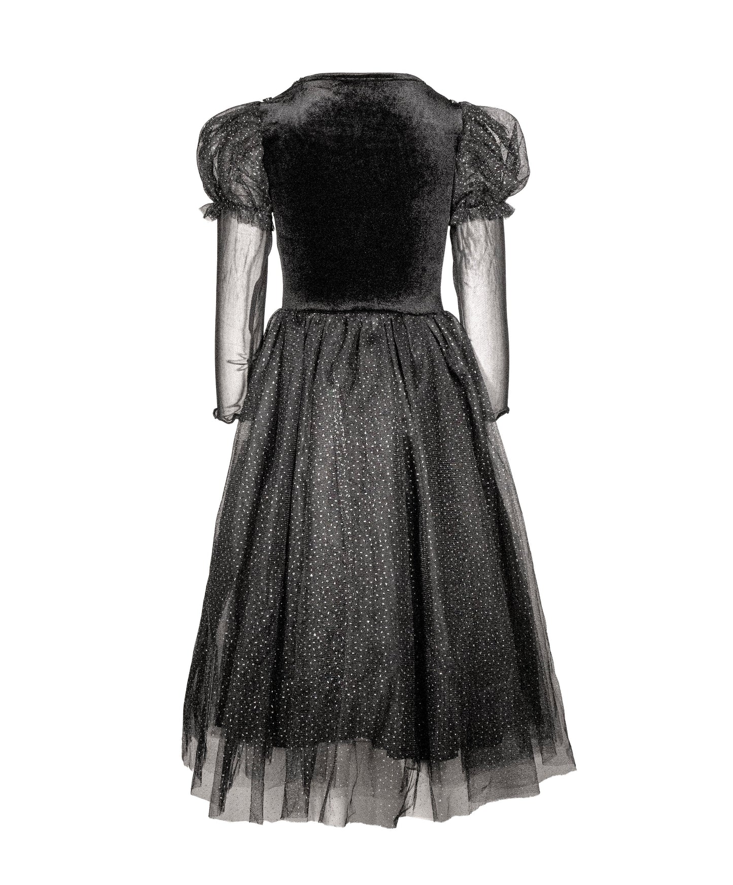 The Witch of the West  Costume Dress