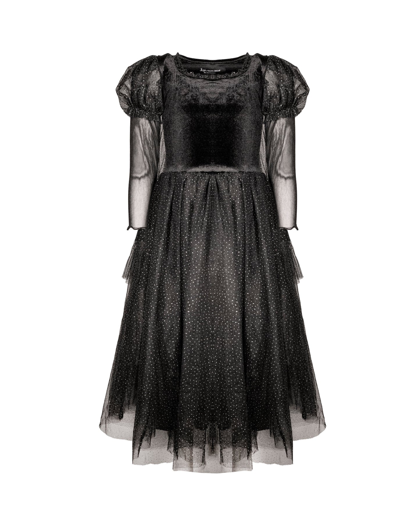 The Witch of the West  Costume Dress