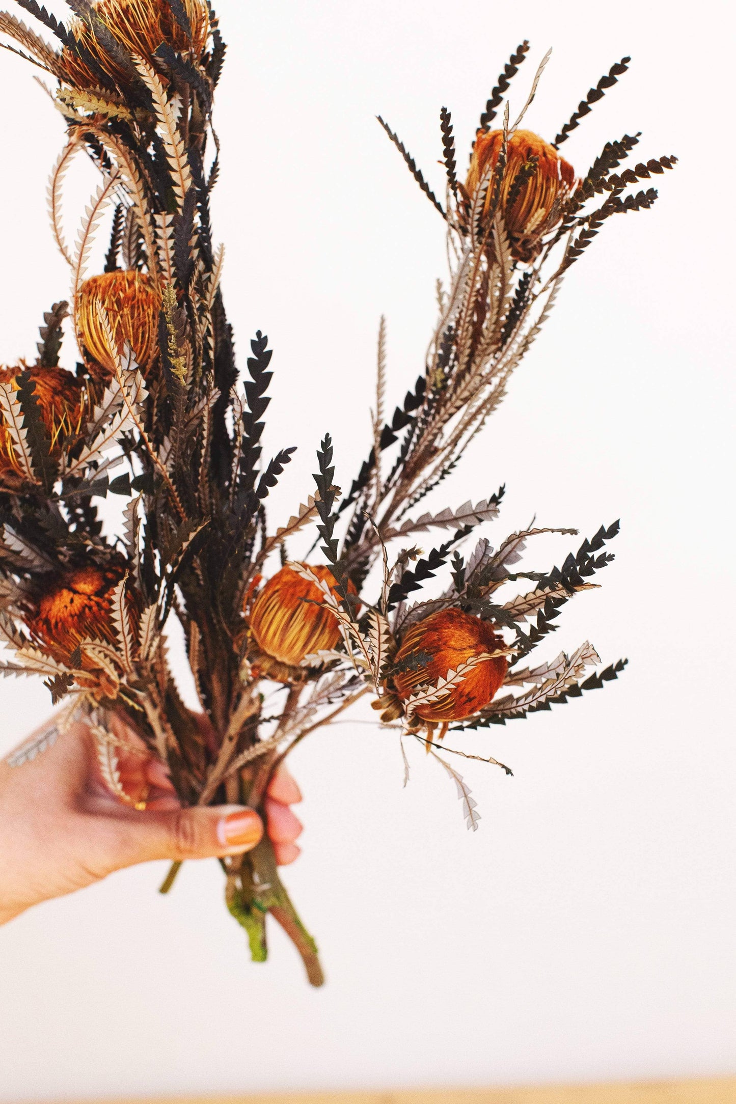 Idlewild Floral Co. - Banksiana