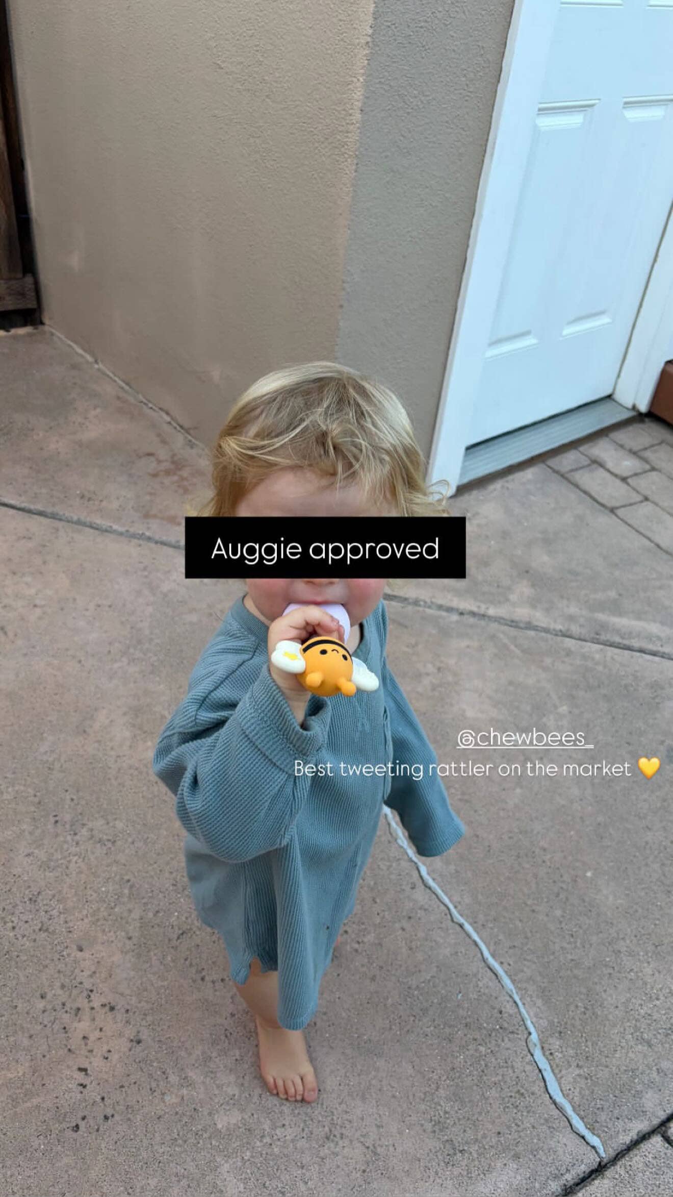 Chewbee's - Chewbee's Bee Silicone Teether Rattle
