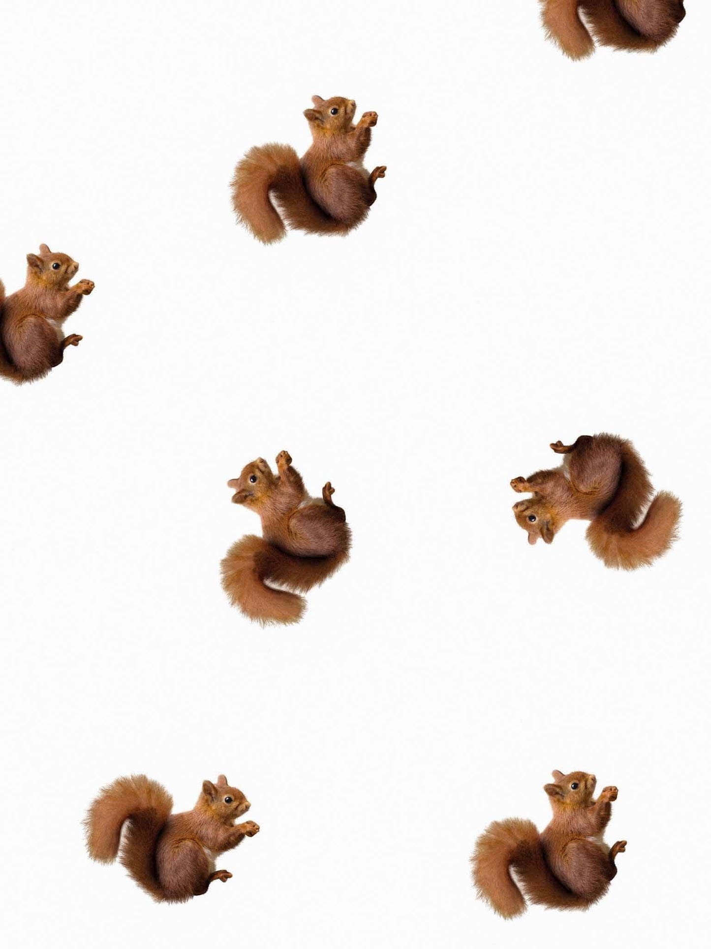 SNURK - Squirrels Long sleeve Dress Kids