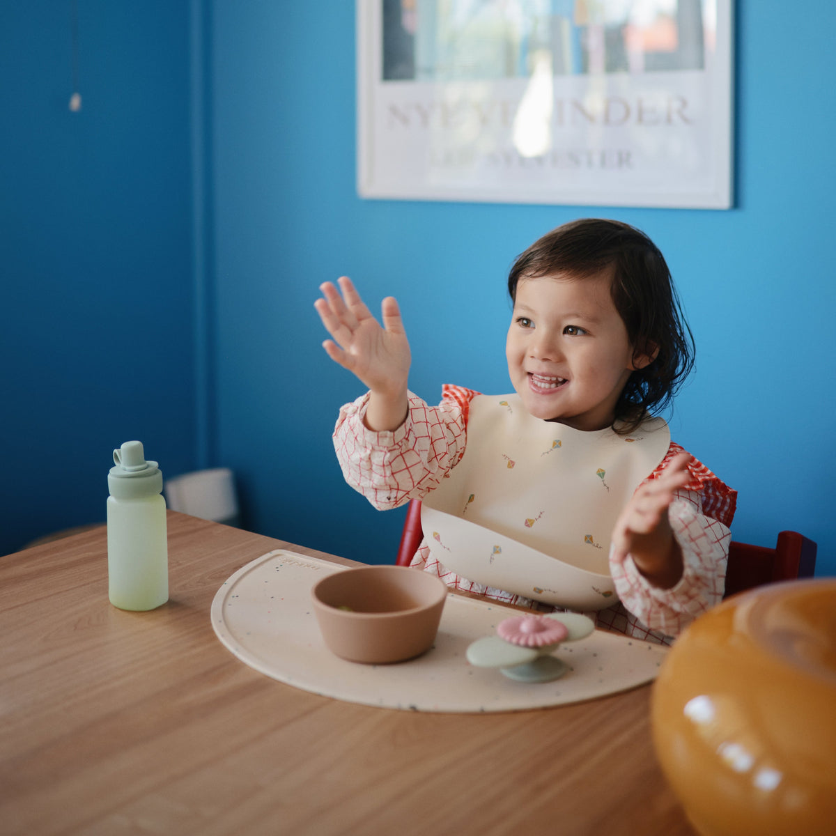 Silicone Suction Bowl