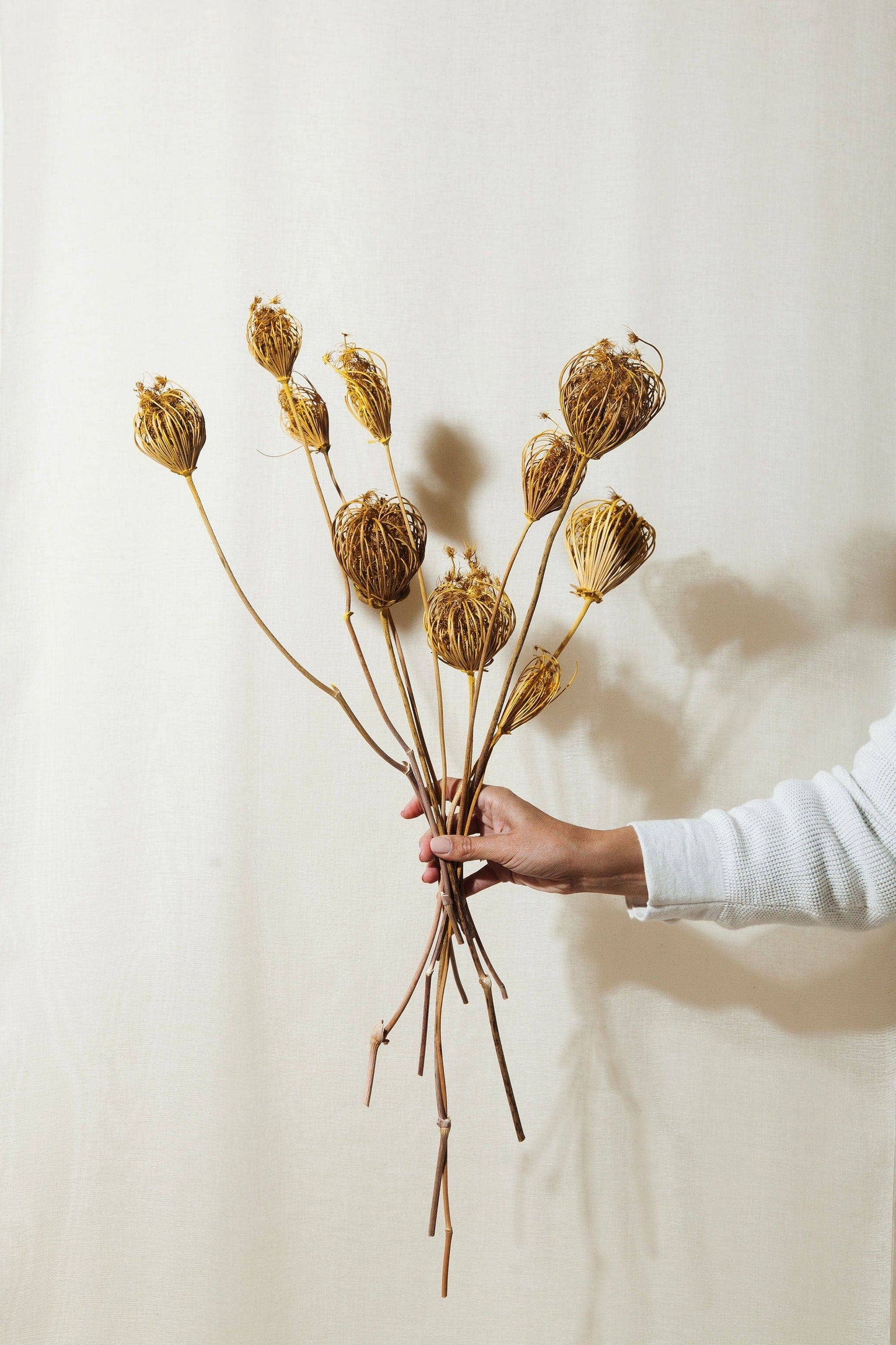 Idlewild Floral Co. - Yellow Queen Anne's Lace